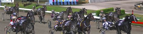 Replays and Sectionals :: Racing Queensland .